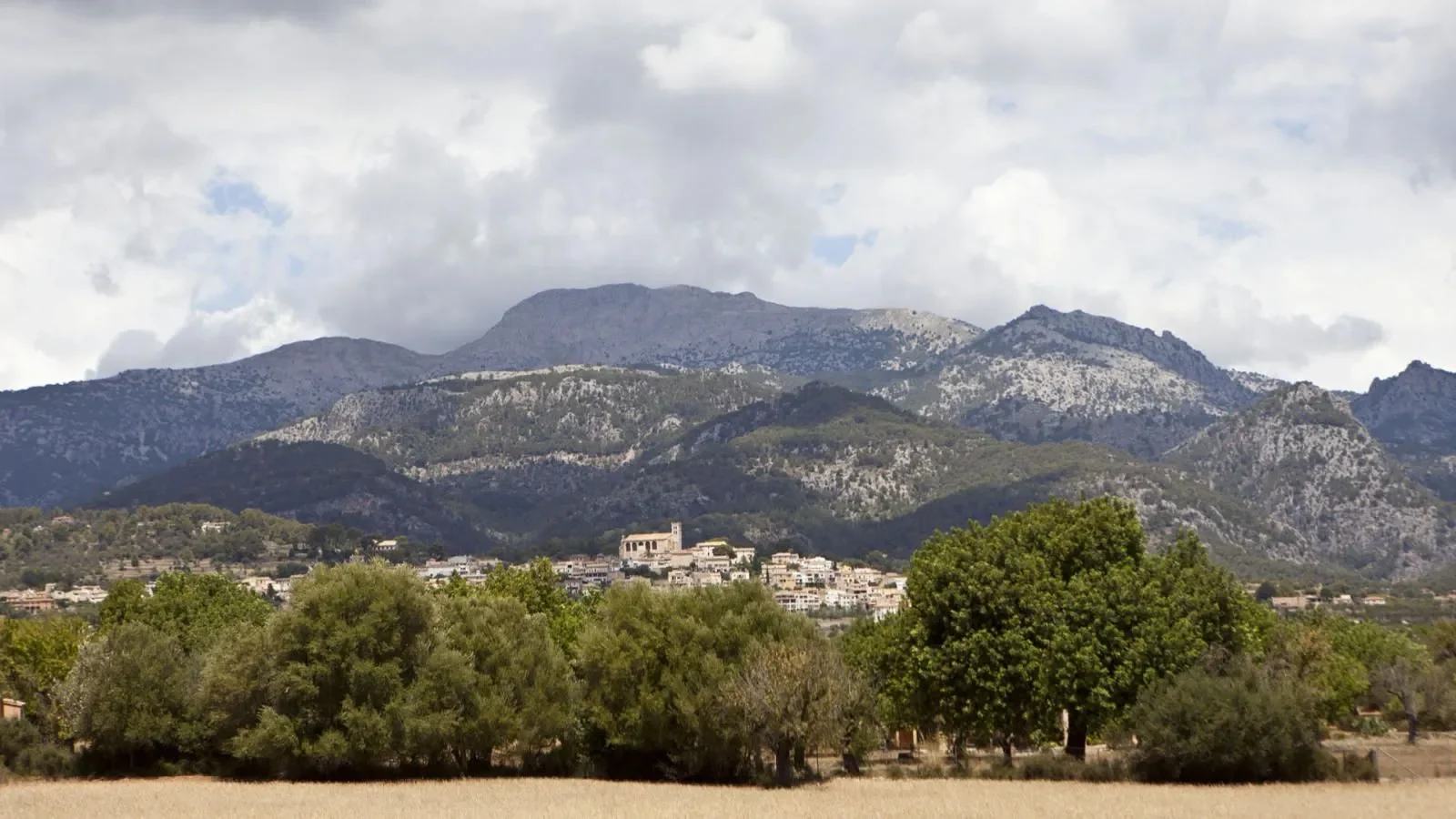 Selva, Baleares, Selva, Selva, Balearic Islands, Spain. - Photo 10