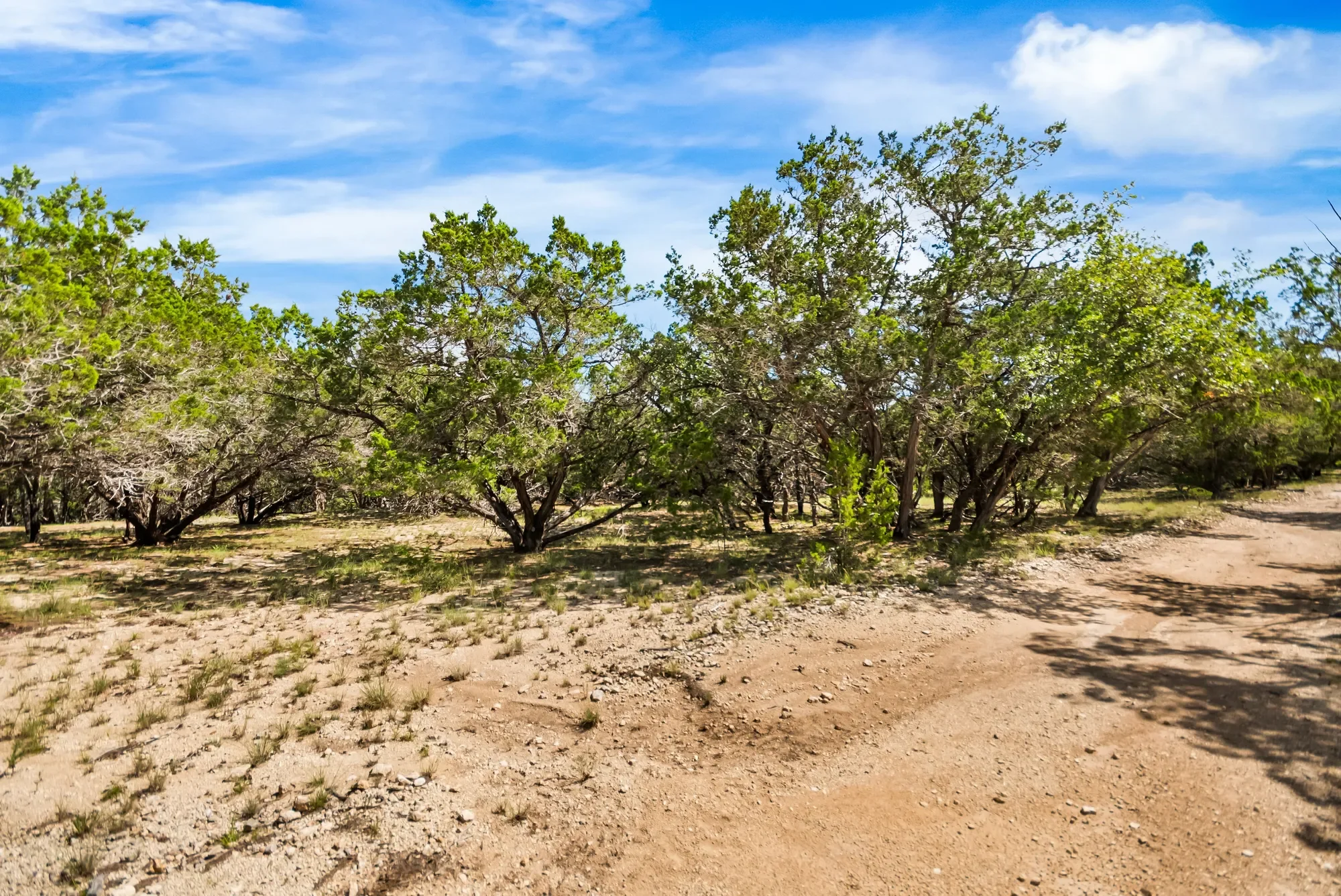 4366 Whartons Dock Road , Bandera, TX 78003, Bandera, Texas, United States. - Photo 32