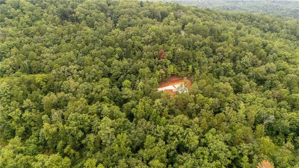 11094 Old 441 S, Lakemont, Georgia, United States. - Photo 4