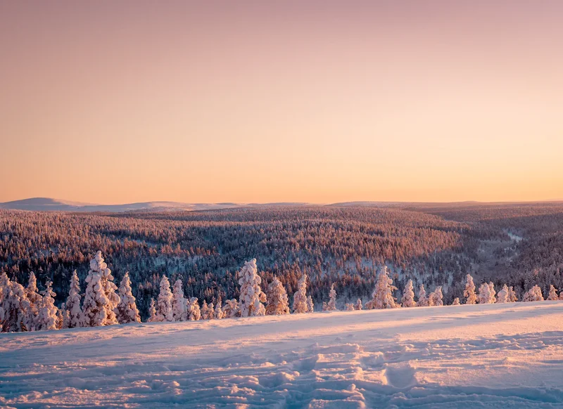 Vaulo 10, Saariselkä, 10 99830, Saariselkä, Lapland, Finland. - Photo 15