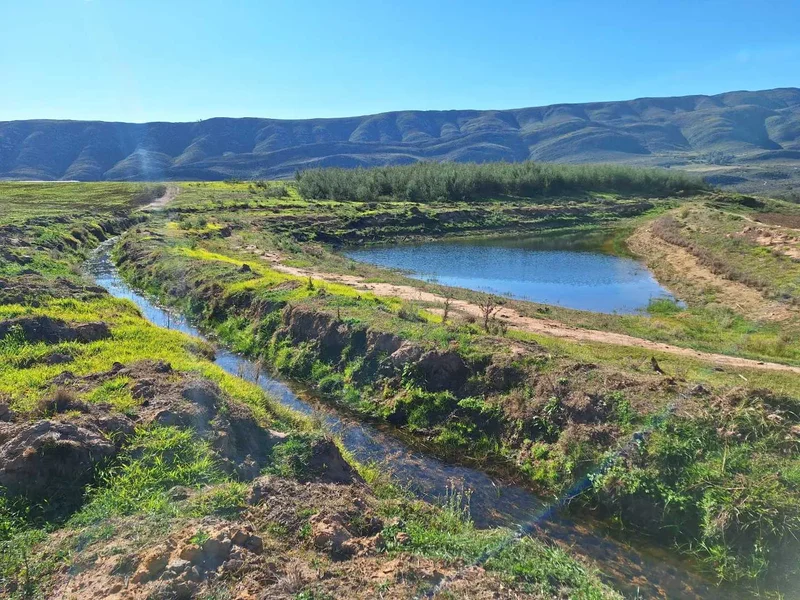 George, Western Cape, South Africa. - Photo 21