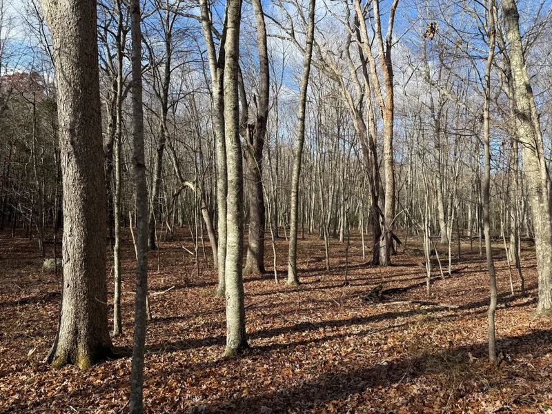 Chesterfield Road, East Lyme, CT 06333, East Lyme, Connecticut, United States. - Photo 5