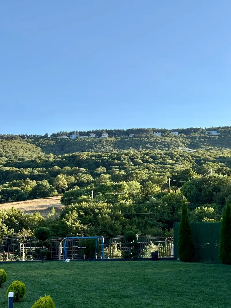 Tsavkisi, Tbilisi, Georgia, Tbilisi, Tbilisi, Georgia. - Photo 65