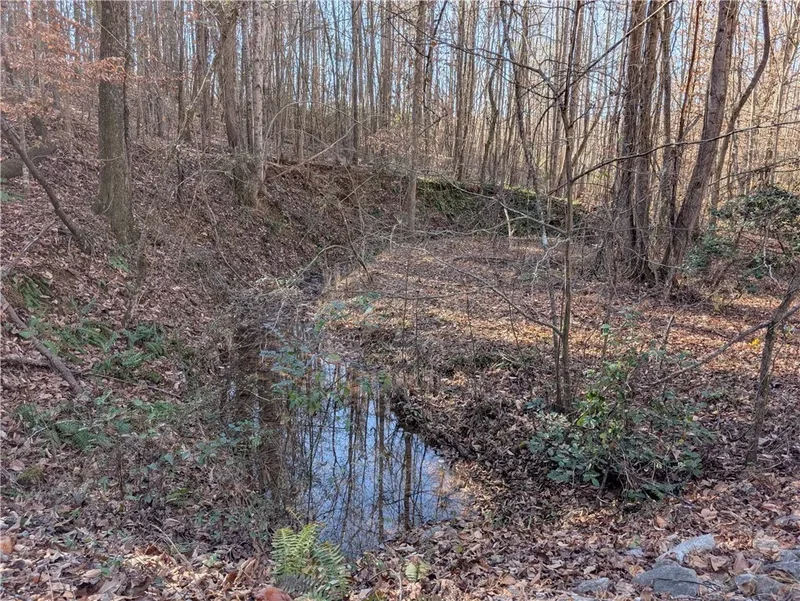 2475 Pumpkintown Highway, Pickens, SC 29671, Pickens, South Carolina, United States. - Photo 33