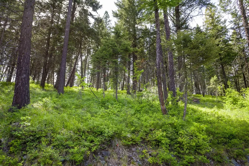 28 Doubletree Drive, Bigfork, MT 59911, Bigfork, Montana, United States. - Photo 21