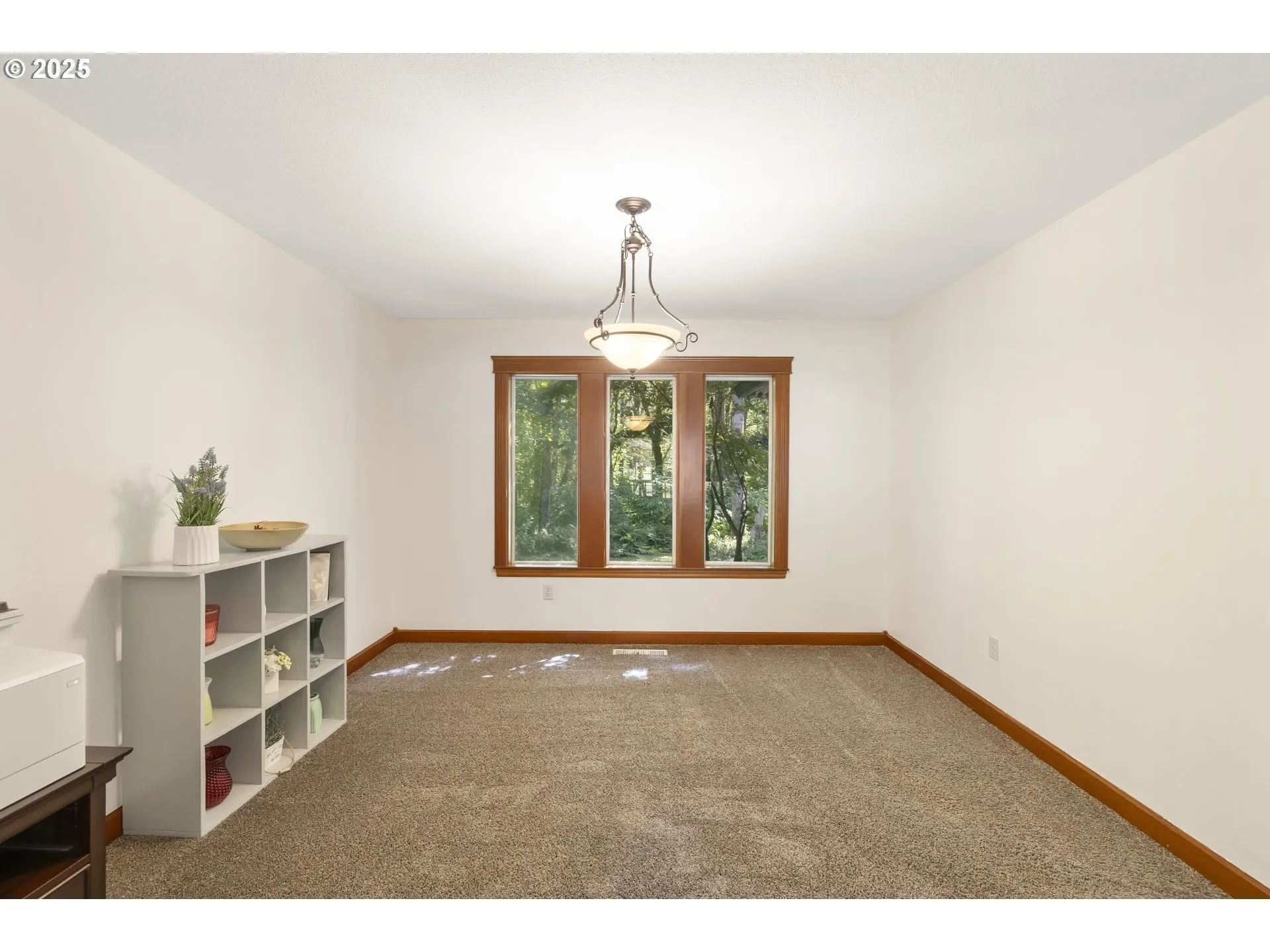 Gallery photo 5