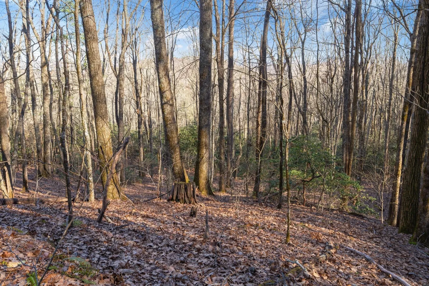 00 Off Zeb Buchanan Road, Cullowhee, NC 28723, Cullowhee, North Carolina, United States. - Photo 21