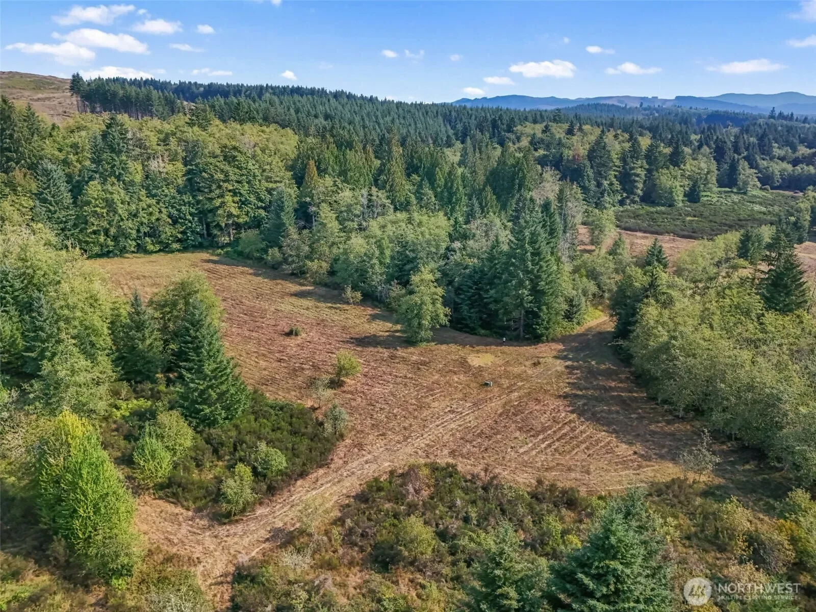 104 Bills Lane, Onalaska, WA 98570, Onalaska, Washington, United States. - Photo 27