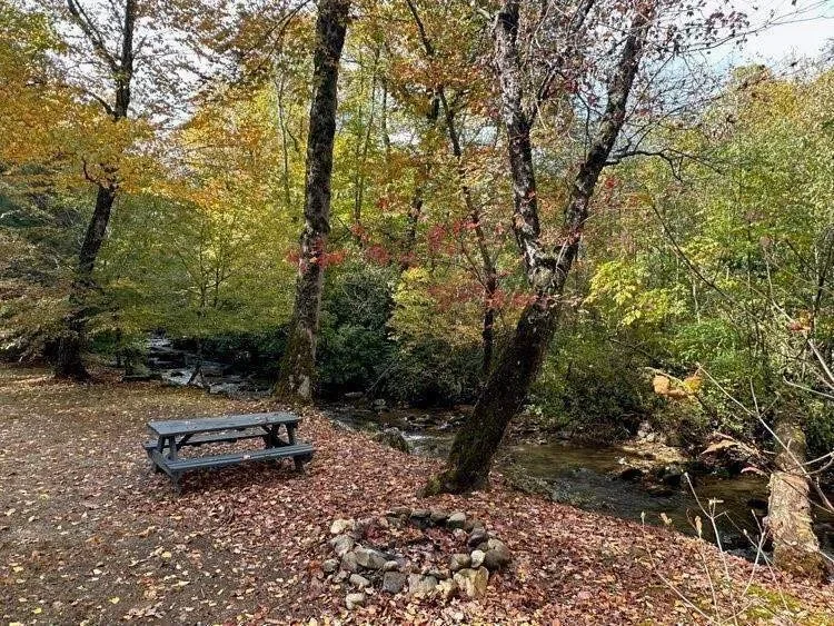 Clarkesville, Georgia, United States. - Photo 24