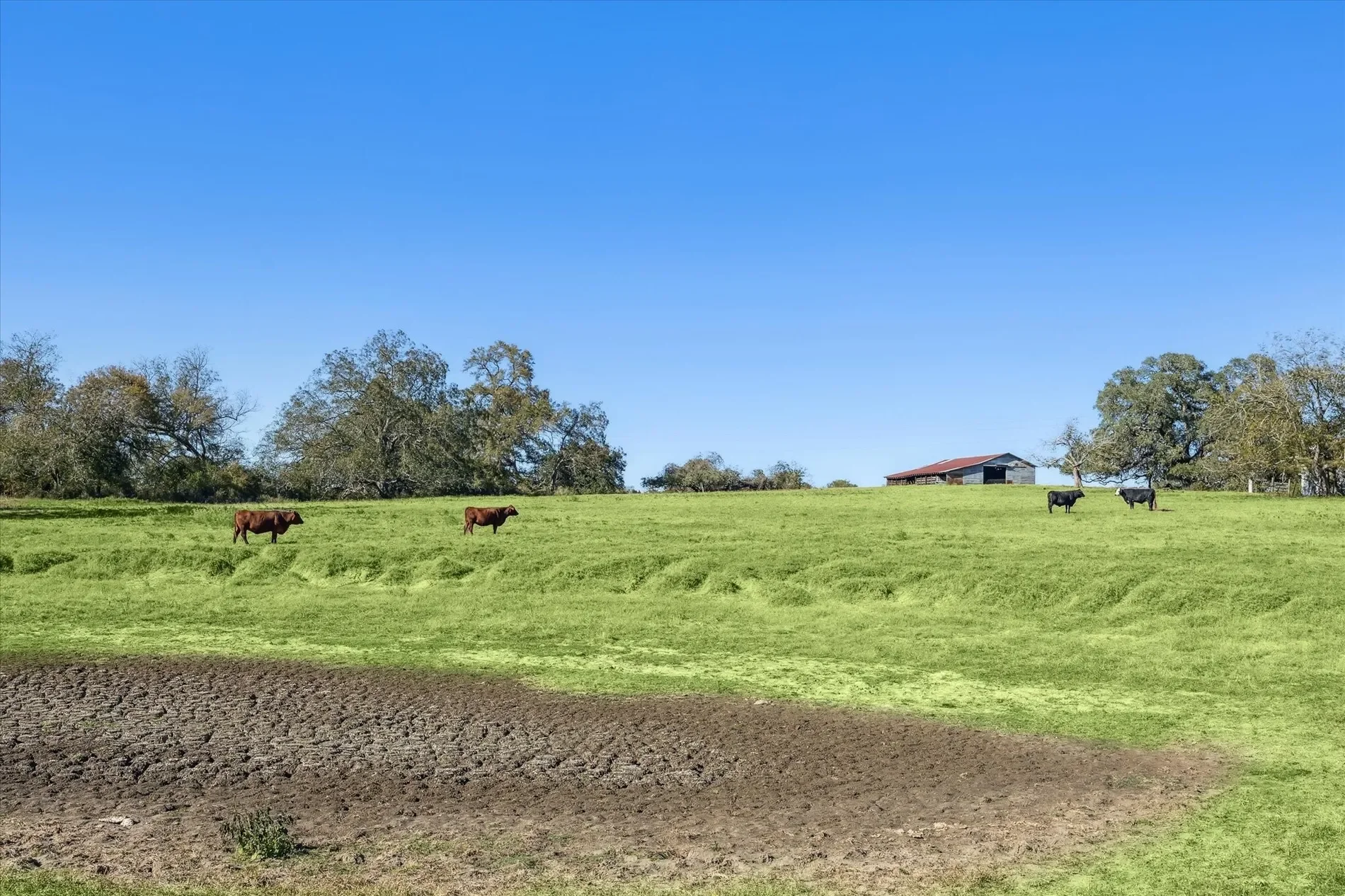 6230 Kovar Road, Fayetteville, TX 78940, Fayetteville, Texas, United States. - Photo 3