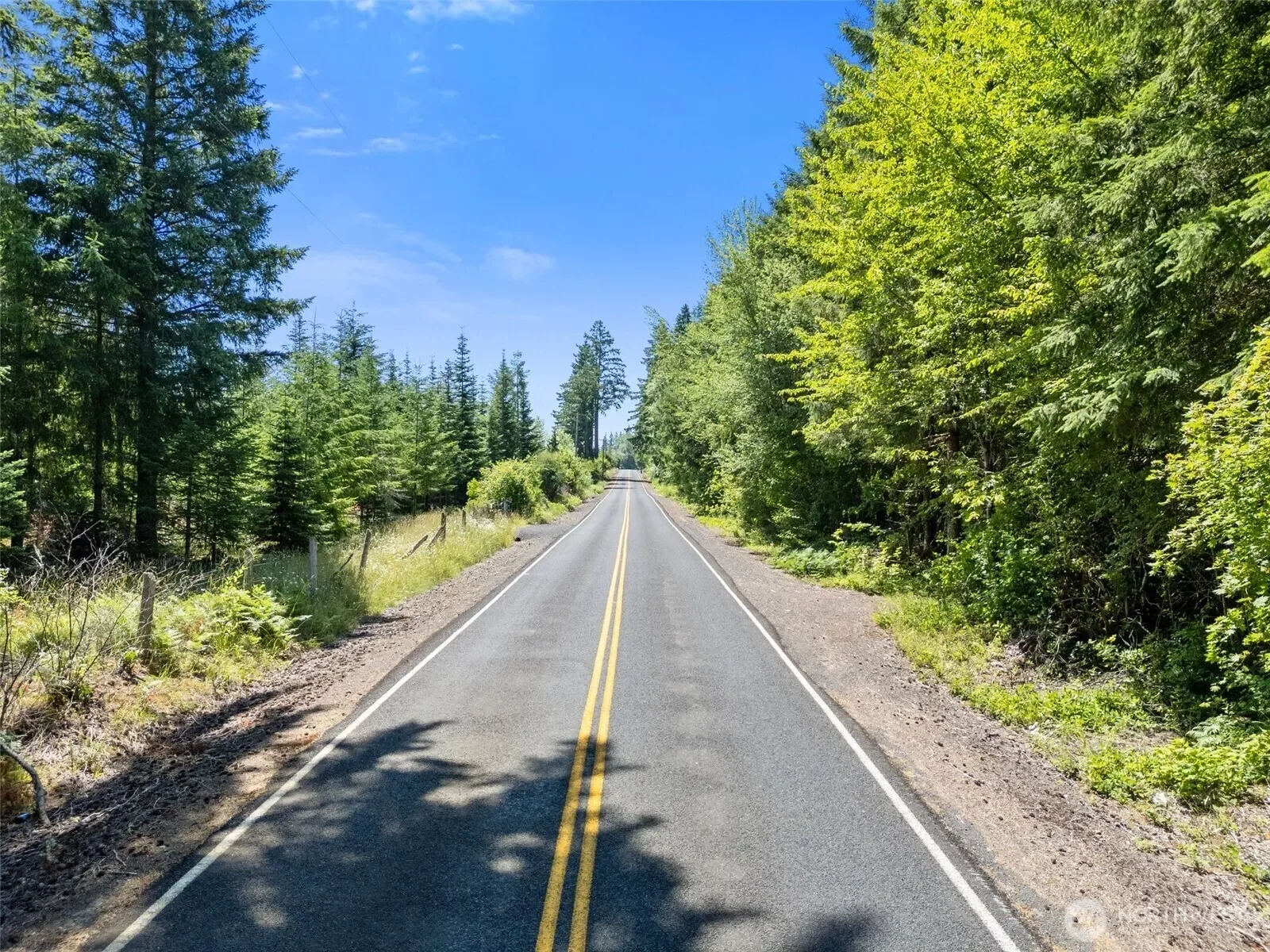 0 Kiser, Ethel, WA 98542, Chehalis, Washington, United States. - Photo 7