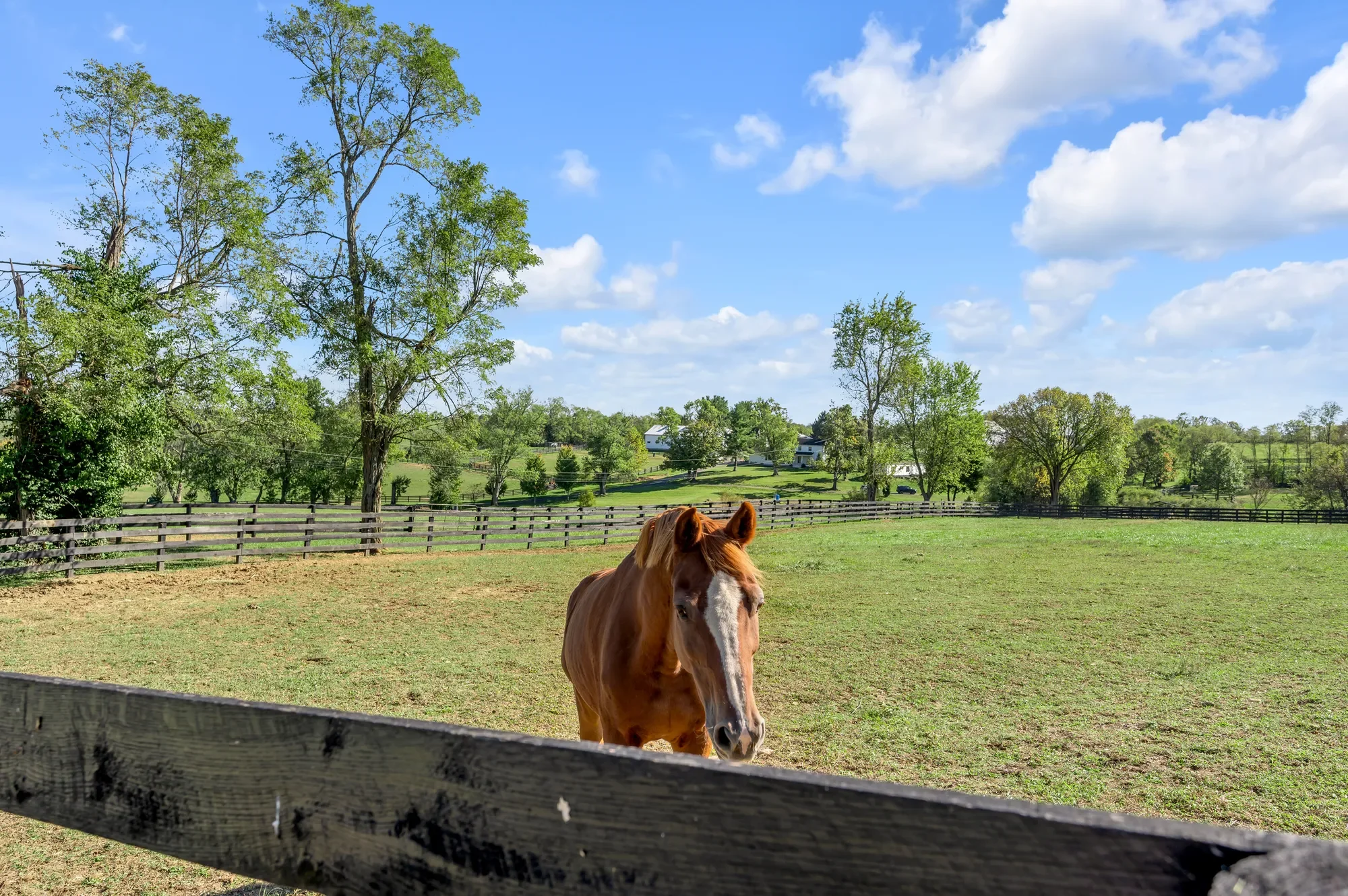 2788 Frankfort Road, Georgetown, KY 40324, Midway, Kentucky, United States. - Photo 82