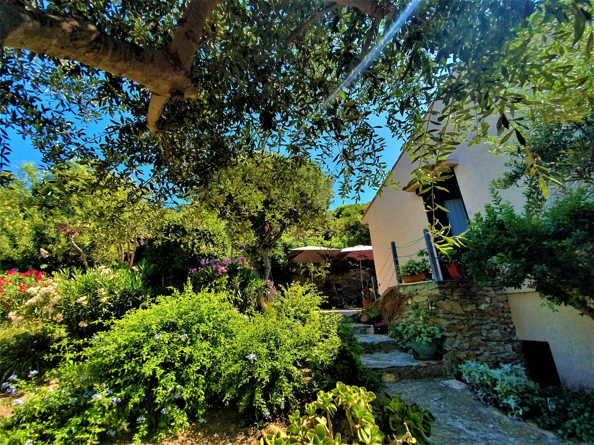 Exterior photo 5