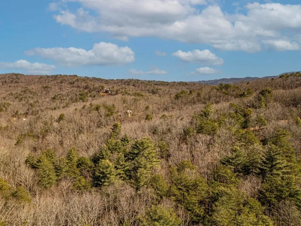 35 Leatherwood Mountain Road, Cherry Log, Georgia, United States. - Photo 42