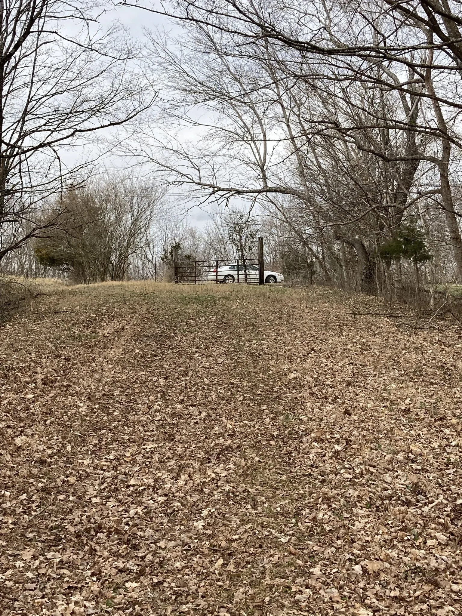 3150 Matlock Rd, Clarksville, TN, 37043, USA, Clarksville, Tennessee, United States. - Photo 23