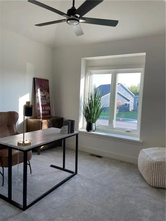 22480 W 89th Terrace, Lenexa, KS 66227, Lenexa, Kansas, United States. - Photo 33
