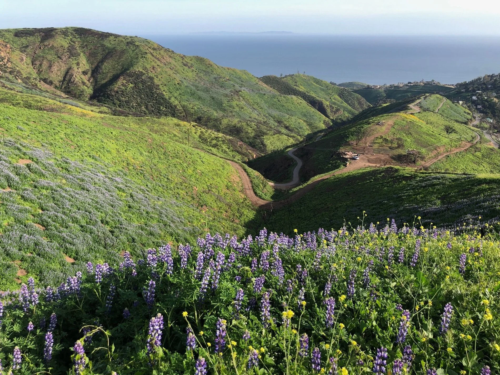 3900 Latigo Canyon Road, Malibu, CA 90265, Malibu, California, United States. - Photo 11