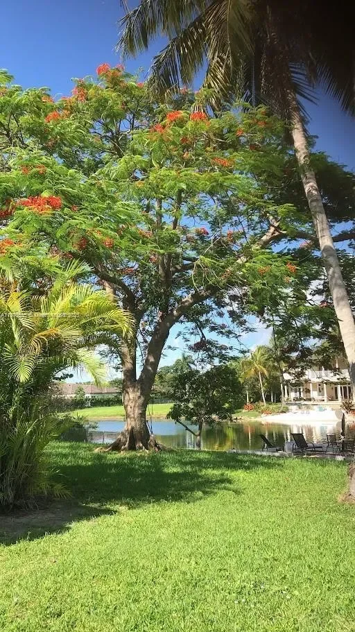11820 SW 69th Ct, Coral Gables, Florida, United States. - Photo 6