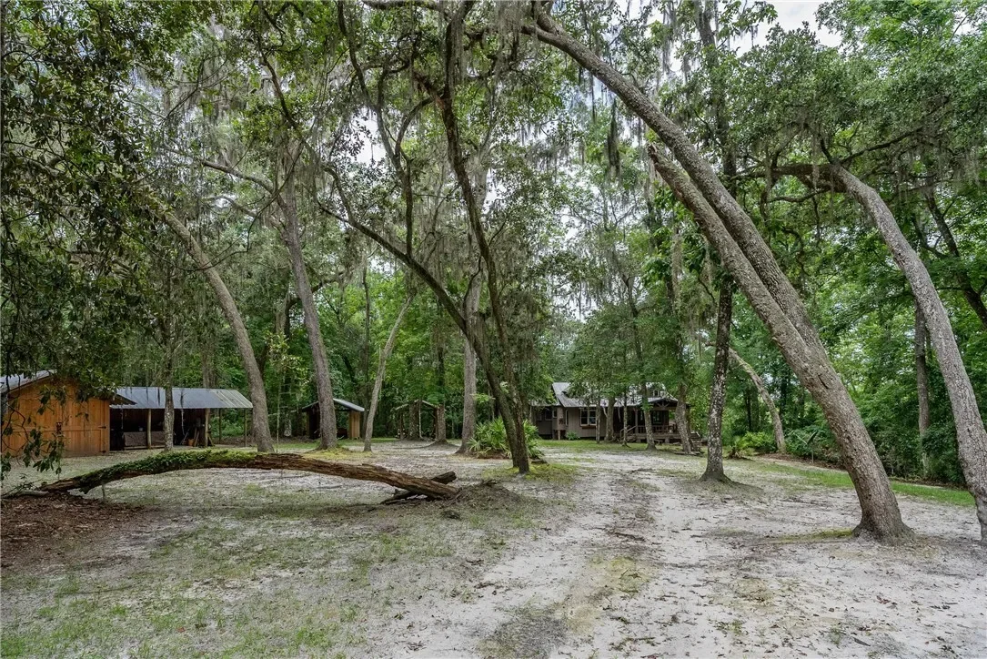1360 Douglas Fish Camp Road, White Oak, GA 31568, White Oak, Georgia, United States. - Photo 19
