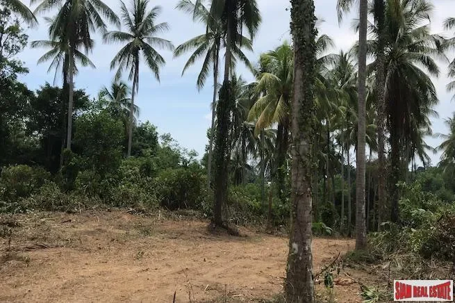 Phang Nga,, Thai Mueang, Phang-nga, Thailand. - Photo 1