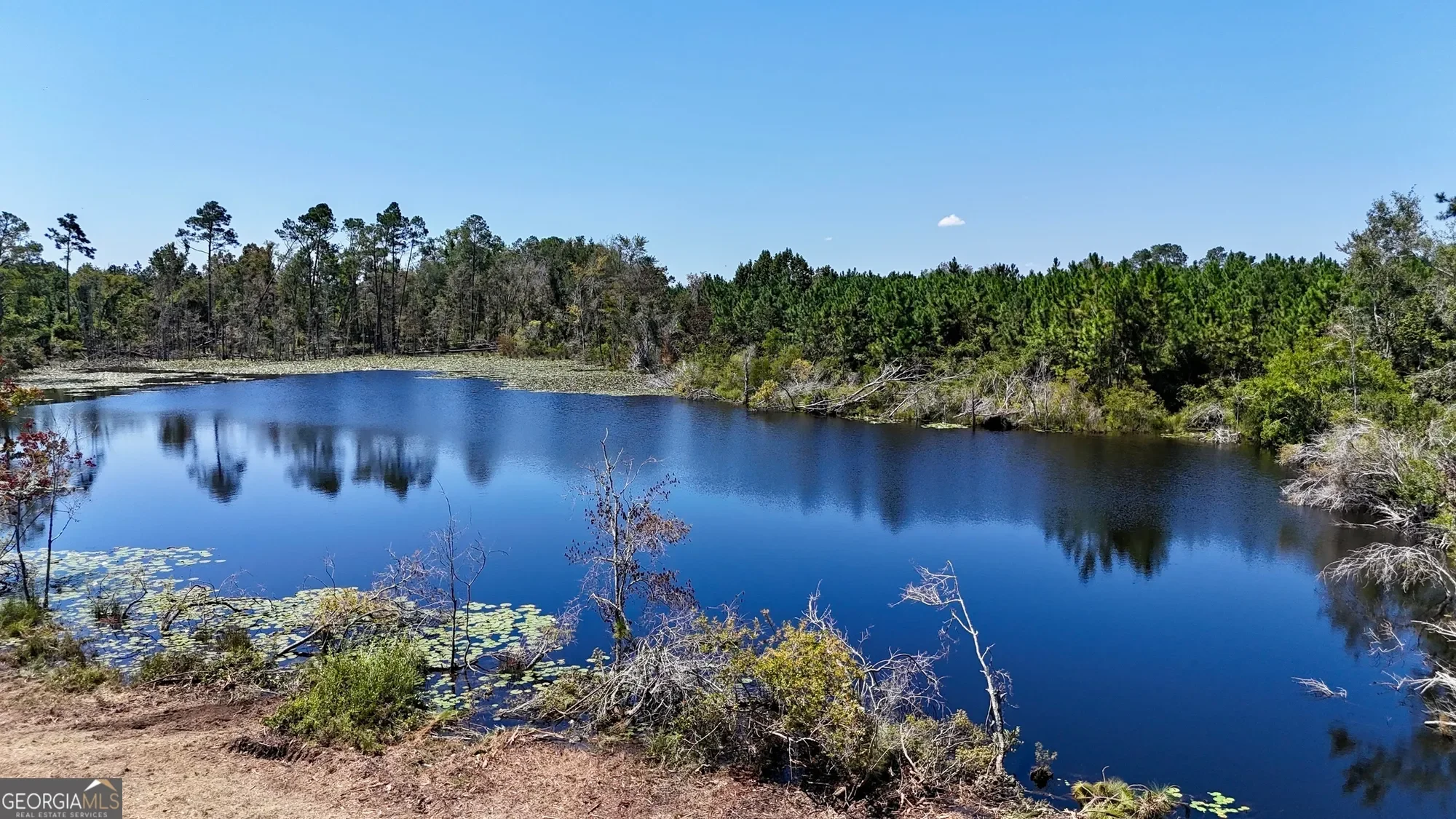 0 Rhonda Coleman, Hazlehurst, GA 31539, Hazlehurst, Georgia, United States. - Photo 8