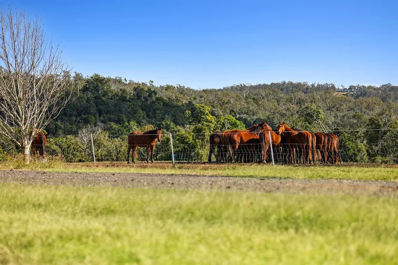 1230 East Egypt Road, Fordsdale, Brisbane, QLD, Fordsdale, Queensland, Australia. - Photo 88