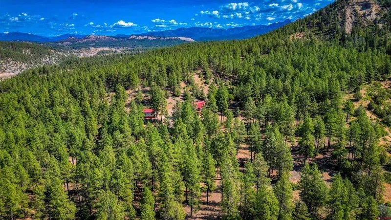 704 Two Bear Drive, Pagosa Springs, Colorado, United States. - Photo 23