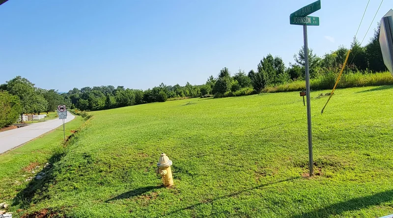 00 S Mcelhaney Road, Greer, SC 29651, Greer, South Carolina, United States. - Photo 4