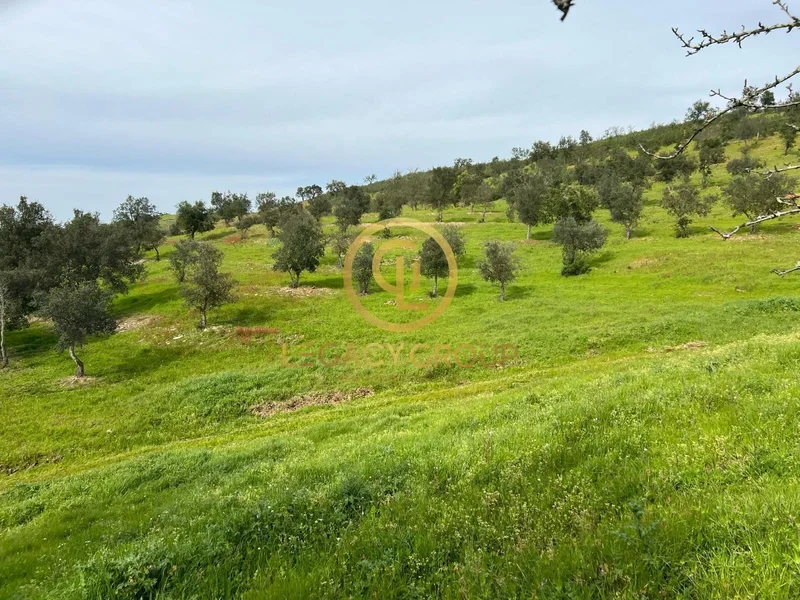 Odemira, Beja, Odemira, Sao Salvador e Santa Maria, Beja District, Portugal. - Photo 16