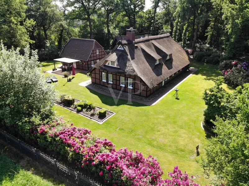 Bad Zwischenahn, Lower Saxony, Germany. - Photo 3