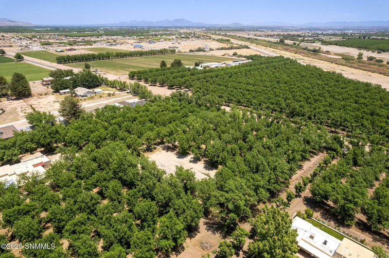 1810 S Fairacres Road, Las Cruces, NM 88005, Las Cruces, New Mexico, United States. - Photo 41
