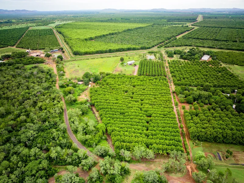 528 River Farm Road, Kununurra, Western Australia, Australia. - Photo 4
