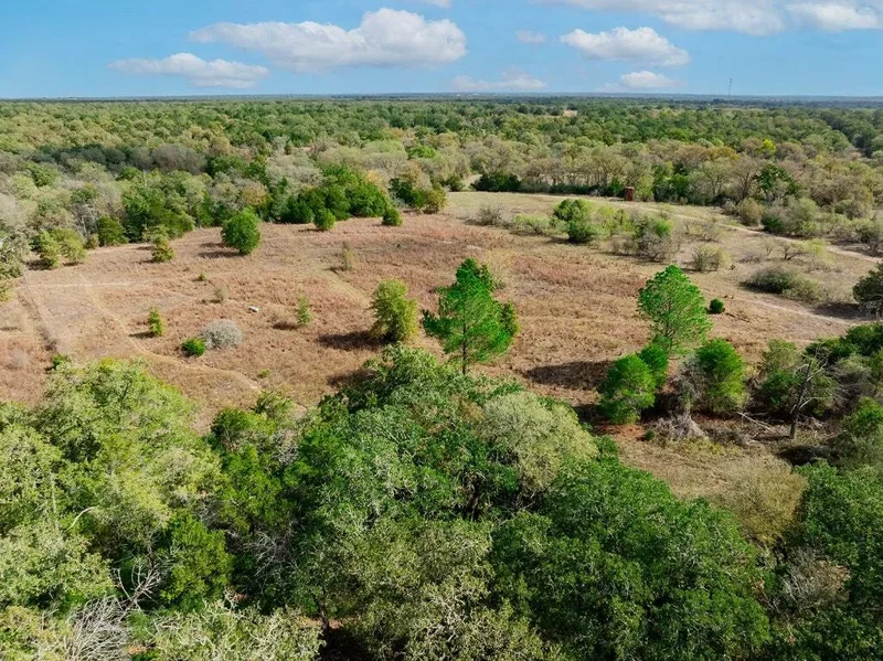 164 Bull Run Road, Cedar Creek, TX 78612, Cedar Creek, Texas, United States. - Photo 5
