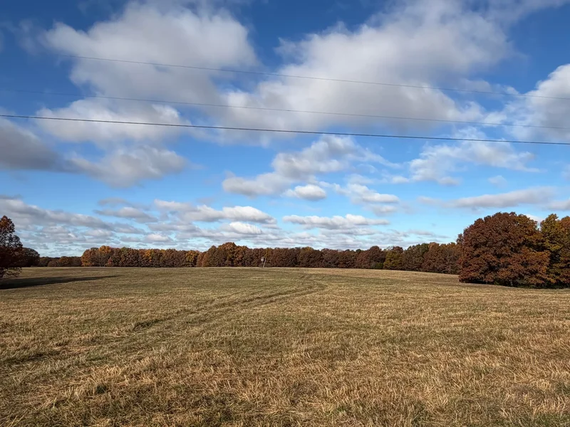 Tbd SE 1325 Road, Weaubleau, MO 65774, Weaubleau, Missouri, United States. - Photo 3