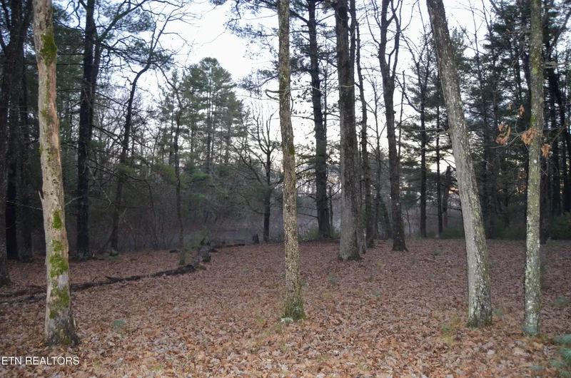 Sparta Hwy 63.3 Acres, Crossville, TN 38555, Crossville, Tennessee, United States. - Photo 52