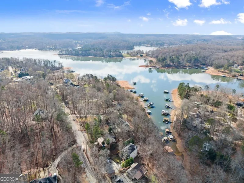 161 Winterhawk Cove, Dawsonville, GA 30534, Cumming, Georgia, United States. - Photo 80