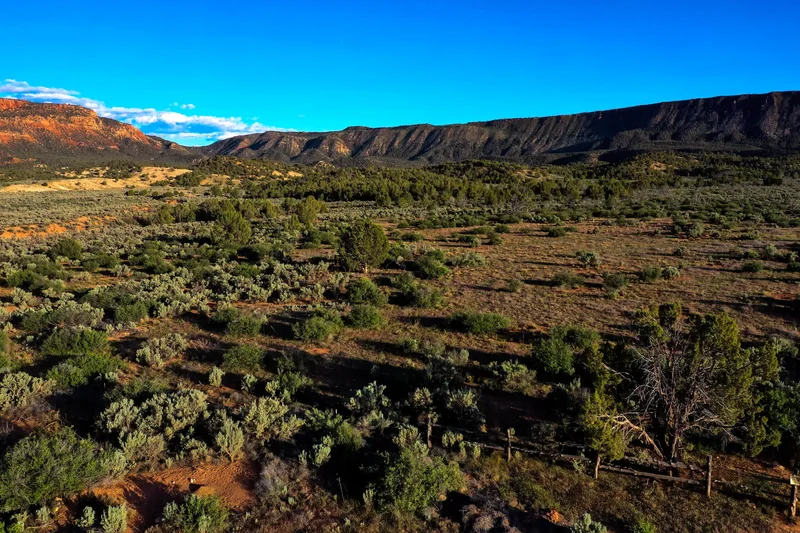 Sinbad Ranch , Gateway, CO 81522, Gateway, Colorado, United States. - Photo 56