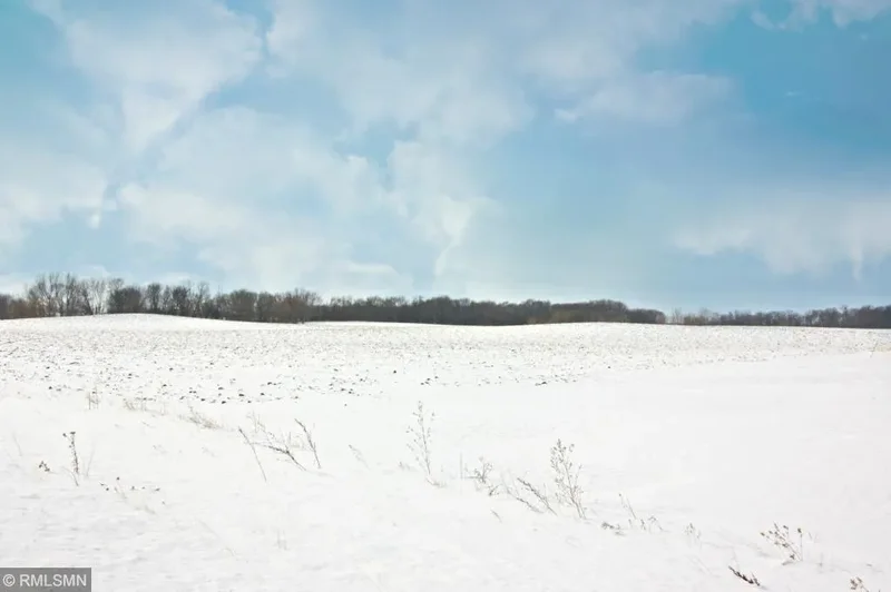 xxxx Jamison Avenue NE, Saint Michael, MN 55376, Saint Michael, Minnesota, United States. - Photo 14