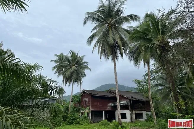 Phang Nga,, Thai Mueang, Phang-nga, Thailand. - Photo 8