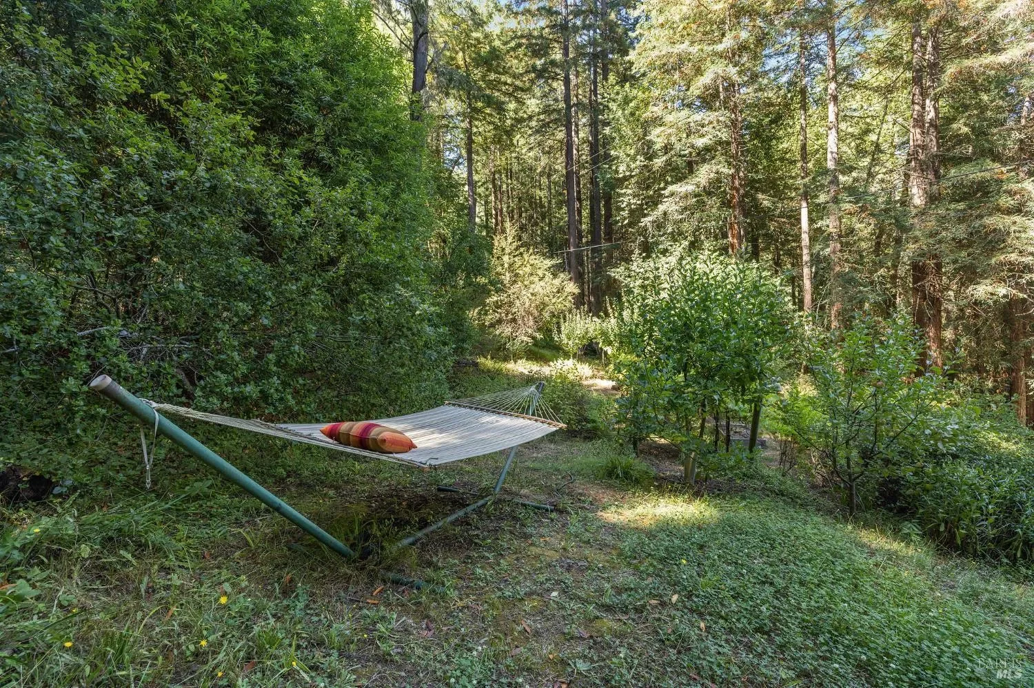 17970 Duncan Road, Guerneville, CA, 95446, USA, Guerneville, California, United States. - Photo 29