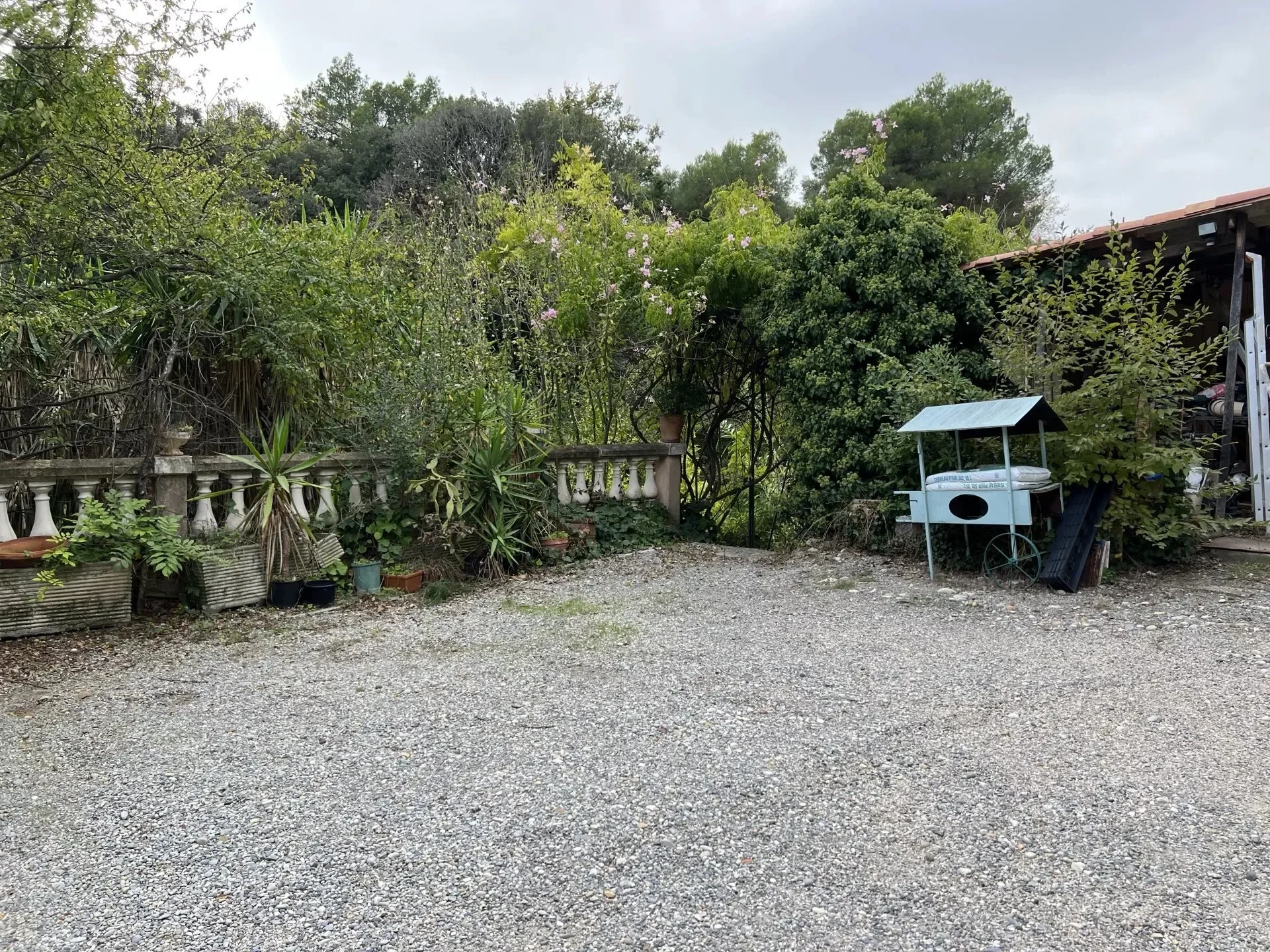 Nice, Provence-Alpes-Côte d'Azur, France. - Photo 15