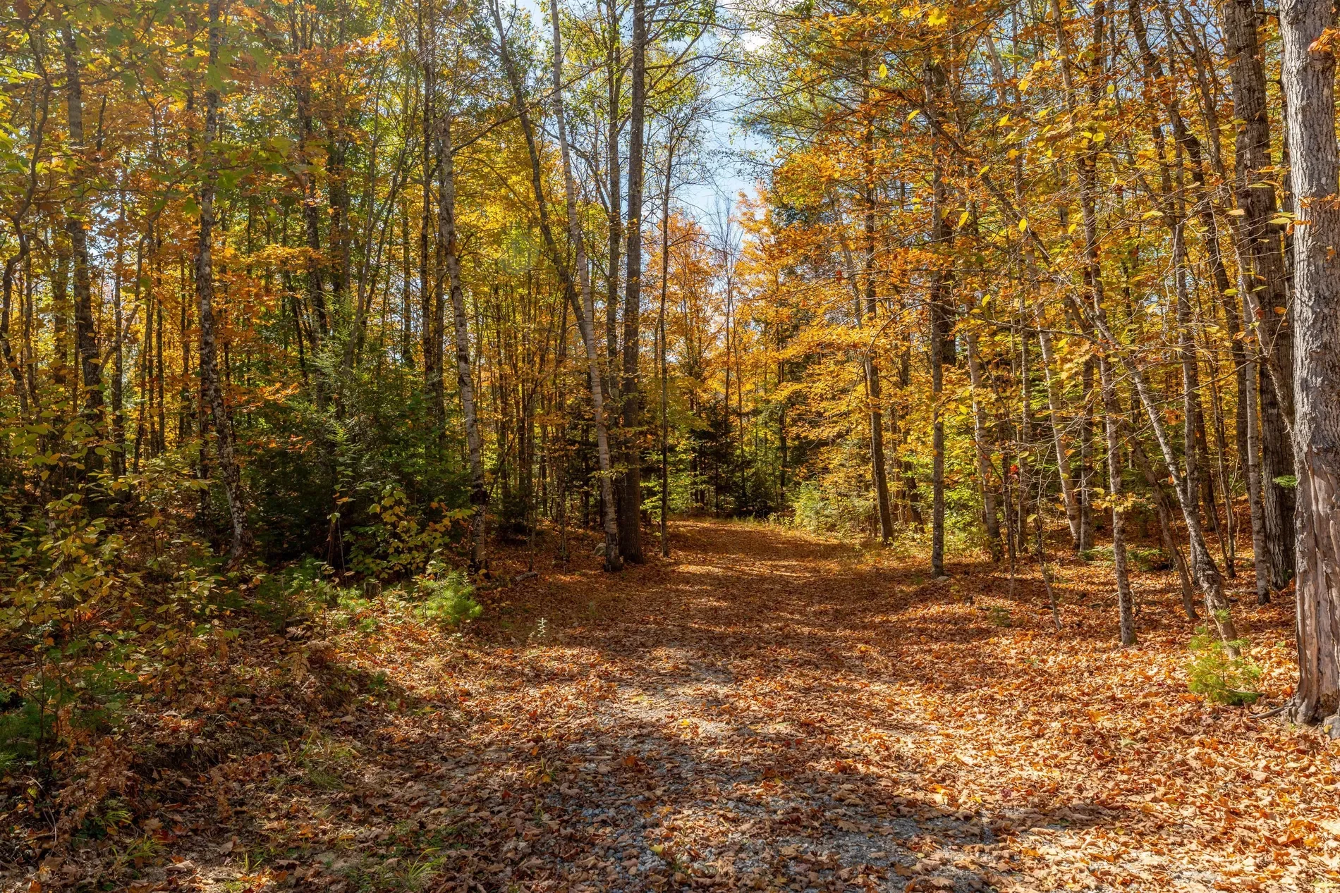 59 Bobcat Way, Norway, ME 04268, Norway, Maine, United States. - Photo 38