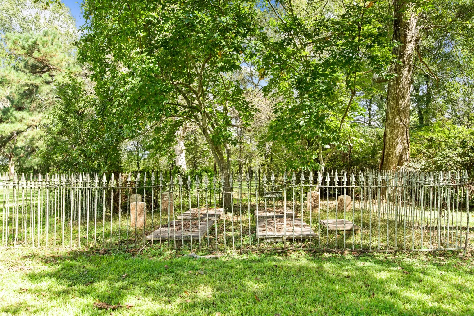 616 Dejean, Hwy 103 , Washington, LA 70589, Washington, Louisiana, United States. - Photo 8