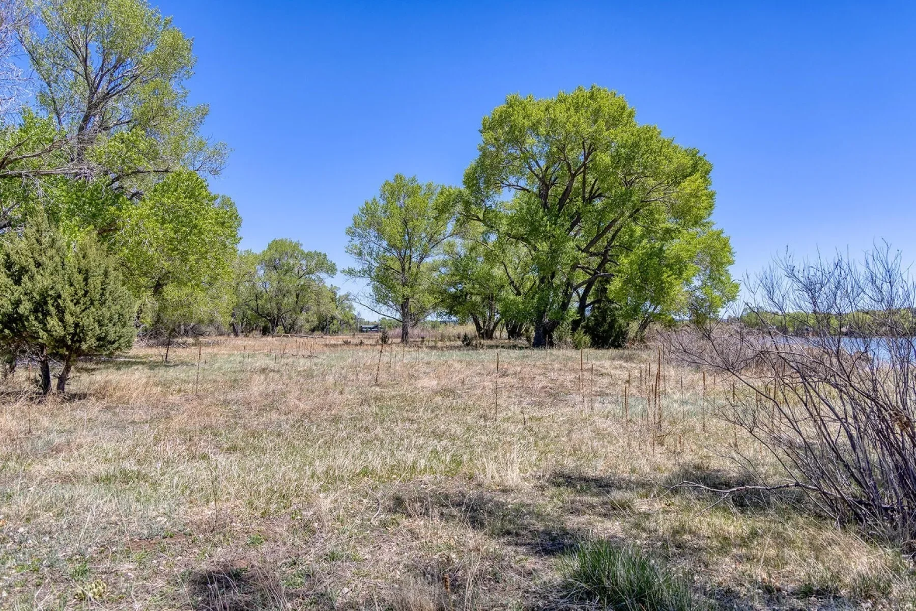 XXXX Larson Road , Pinetop-Lakeside, AZ 85259, Pinetop-Lakeside, Arizona, United States. - Photo 3