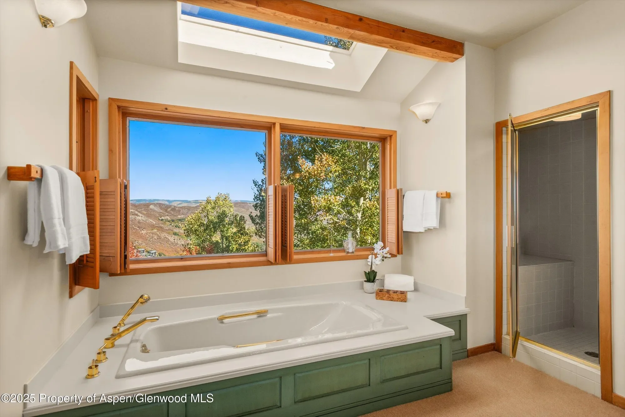 259 Deer Ridge Lane, Snowmass Village, CO, United States. - Photo 23
