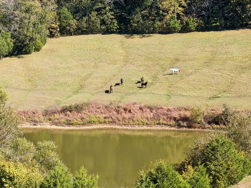 2846 Fuller Hollow Rd , Cornersville, TN 37047, Cornersville, Tennessee, United States. - Photo 69