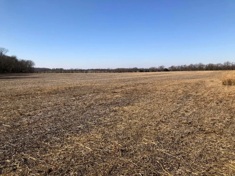Tbd W Farm Road 148, Republic, MO 65738, Republic, Missouri, United States. - Photo 10
