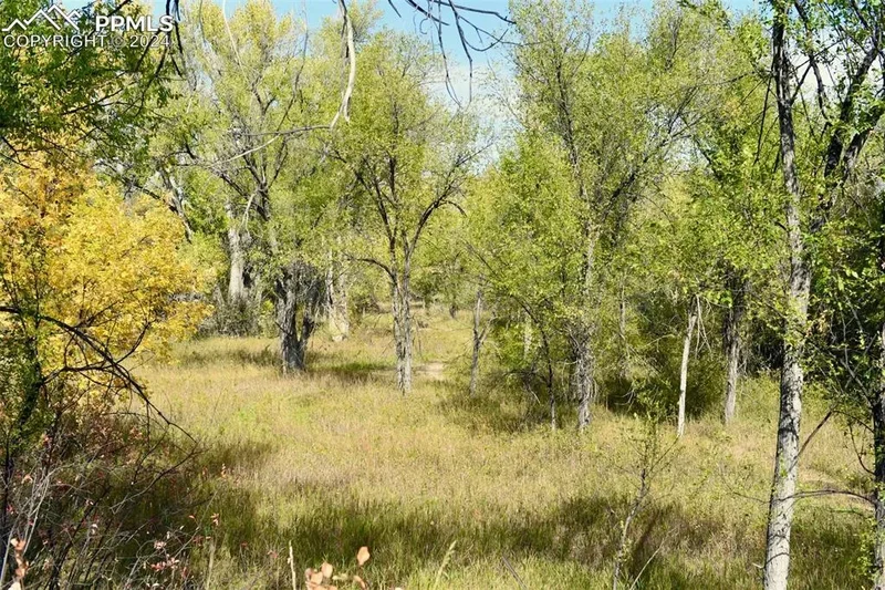 Crest Drive, Fountain, CO 80817, Fountain, Colorado, United States. - Photo 13