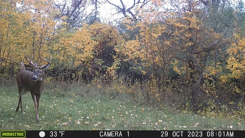 100 Highway 23, Green Lake, WI 54941, Green Lake, Wisconsin, United States. - Photo 47