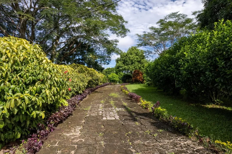 San Andres, Chiriquí Province, Panama. - Photo 20